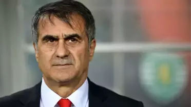 Beşiktaş Teknik Direktörü Güneş'e Aa 2016 Yıllığı