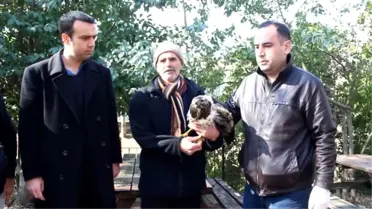 Yaralı Doğan Tedavi Altına Alındı