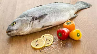 Kılıç'tan yerli balık seferberliği
