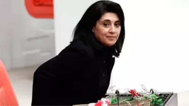 HDP'li Zana Hakkında 3 Ayrı Suçtan 20 Yıla Kadar Hapis İstemi
