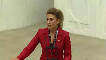 Dha Ankara - CHP'li Engin, Yoğun Bakım Kapasitelerini Meclis Gündemine Taşıdı