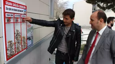 Bu Ankette Oylama Sigara İzmaritleriyle Yapılıyor