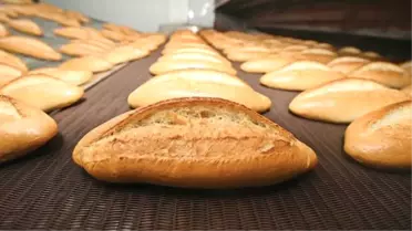 'Tarım İlaçlarının Bilinçsiz Kullanılması Ekmekte Kanser Riski Oluşturur'