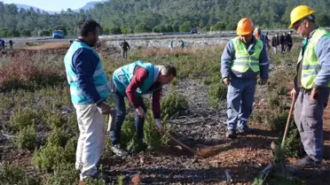 Köyceğiz'de Hükümlüler Fidanları Toprakla Buluşturdu