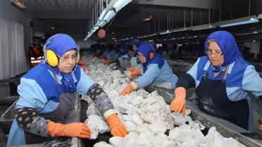 Ekmeklerini Taştan Çıkaran Kadınlar