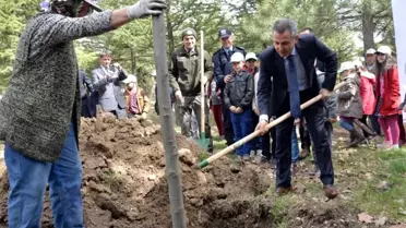 Ertuğrul Gazi Türbesi Alanına Çınar ve Ihlamur Fidanları Dikildi