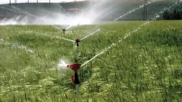 Şanlıurfa'da Sulama Sezonu Başladı