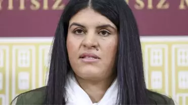 Hdp Milletvekili Öcalan'ın Yargılandığı Dava