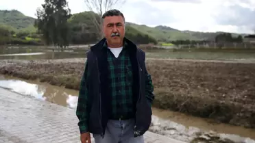 Adana'da Tavuk Çiftliği Sular Altında Kaldı, Çok Sayıda Tavuk Telef Oldu