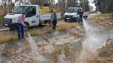 Kozan Belediyesi Haşereyle Mücadeleye Başladı