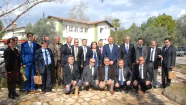 Silifke'de Harap Zeytinlerin Aşılanması Başladı