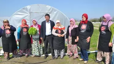 Kadınlar 'Akıllı Köy'de İlk Hasadı Yaptı