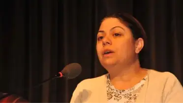 CHP Genel Başkan Yardımcısı Altıok Akatlı: Hangi Demokrasiden Söz Ediyorlar Bize
