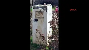 Diyarbakır'da Ahmet Arif'in Büstüne Saldırı