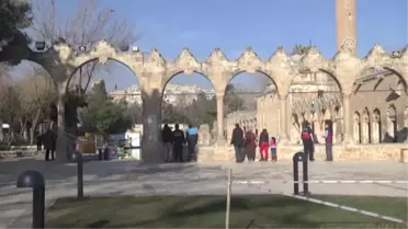 Besicinin 'Umudu' Kuzular Görücüye Çıktı