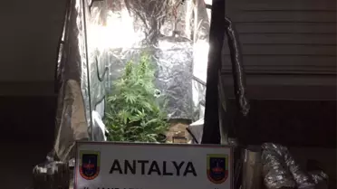 Jandarma Ekiplerini Şaşırtan Görüntü