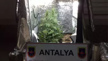 Manavgat'ta Uyuşturucu Operasyonu