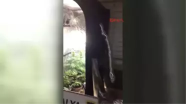 Manavgat'ta Uyuşturucu Operasyonu