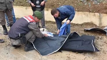 Maden İşçilerini Taşıyan Minibüs Kaza Yaptı: 2 Ölü, 1'i Ağır 24 Yaralı