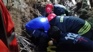 Aksaray'da Kümes Çöktü: 1 Yaralı
