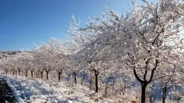 Tokat'ta Kar Yağışı Yüksek Kesimlerde Etkili Oldu