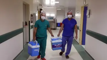 Beyin Ölümü ile Bitkisel Hayat Kavramları Karıştırılıyor'