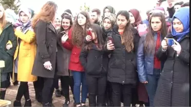 Dostları Aşık Veysel'i Unutmadı