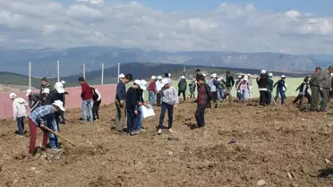 Dünya Ormancılık Günü ve Orman Haftası