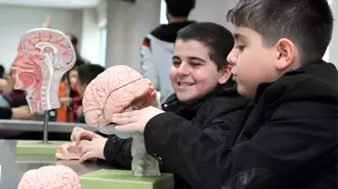 Gaziantep'te Dünya Beyin Farkındalığı Haftası Etkinliklerle Kutlandı
