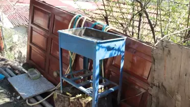 Kekik Zannedip Mangal Etine Attığı Bonzai Can Aldı