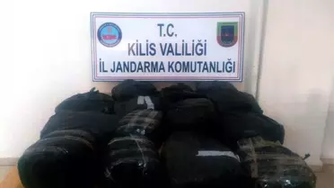 31 Kilo Esrar Ele Geçirildi