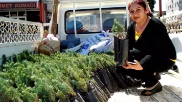AK Parti'li Kadınlar Hem Fidan Dağıttı Hem Broşür