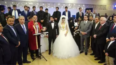 Bakan Çelik'ten Düğün Halayı
