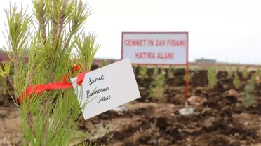 15 Temmuz Şehitleri İçin Fidan Dikildi
