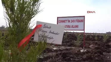 Siverek'te Her Şehidin Ismi Için Fidan Dikildi