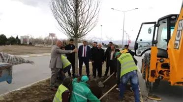 Erzincan Belediyesi Ağaçlandırma Çalışmalarına Devam Ediyor