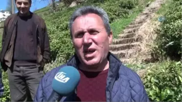 Kış Uykusundan Uyanıp Mezarlara Dadandılar