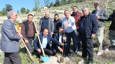 Silifke'de Mali Müşavirler Hatıra Ormanı Oluşturuldu