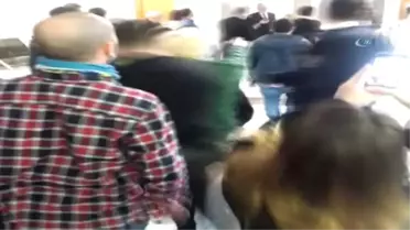 Cindy Köpeğin Dövülmesinin Görüldüğü Davada Adliye Karıştı