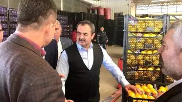 Halk Oylamasına Doğru