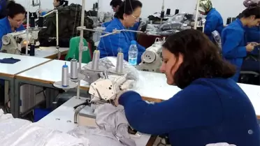 Istihdam Sayısı 400 Bini Aştı