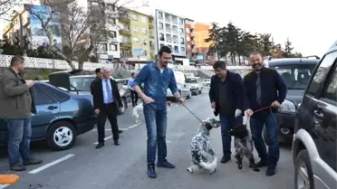 Biga'da Av Köpekleri Aşılandı