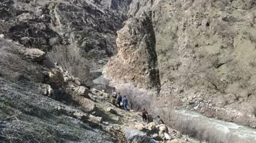 Pancar Toplamak İçin Hayatlarını Riske Atıyorlar