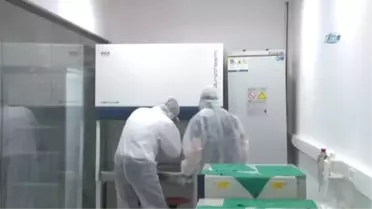 Antik Dna Çalışmaları ile Kemik Parçaları Kimliklendiriliyor