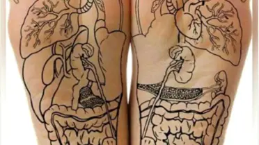 Alternatif Tıpta Refleksoloji