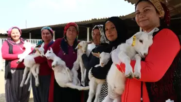 45 Kadına Uygulamalı Çobanlık Eğitimi