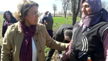 CHP'li Köse: Evet Çıkması Halinde TBMM Vitrinden İbaret Kalacaktır (2)