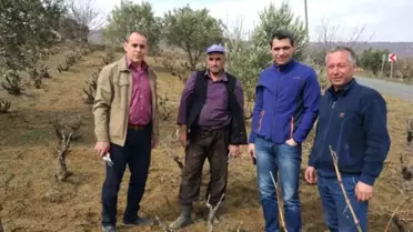 Türkiye Bağcılığında Araştırma-Yayım-Üretici İlişkilerinin Belirlenmesi Projesi'