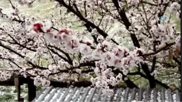 Oltu'ya Dolu Yağdı