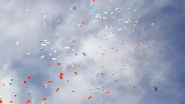 81 Ilde 'Evet Balonları' Uçuruldu